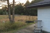 Blick in die Natur