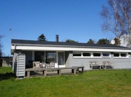 Ferienhaus Pilehuset